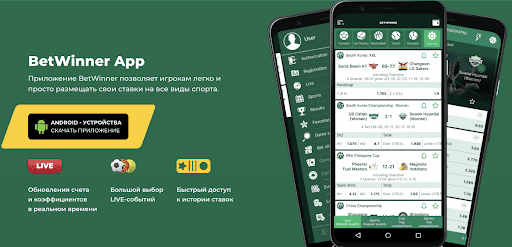 Baji Live online cricket betting The Ultimate Experience for Cricket Fans